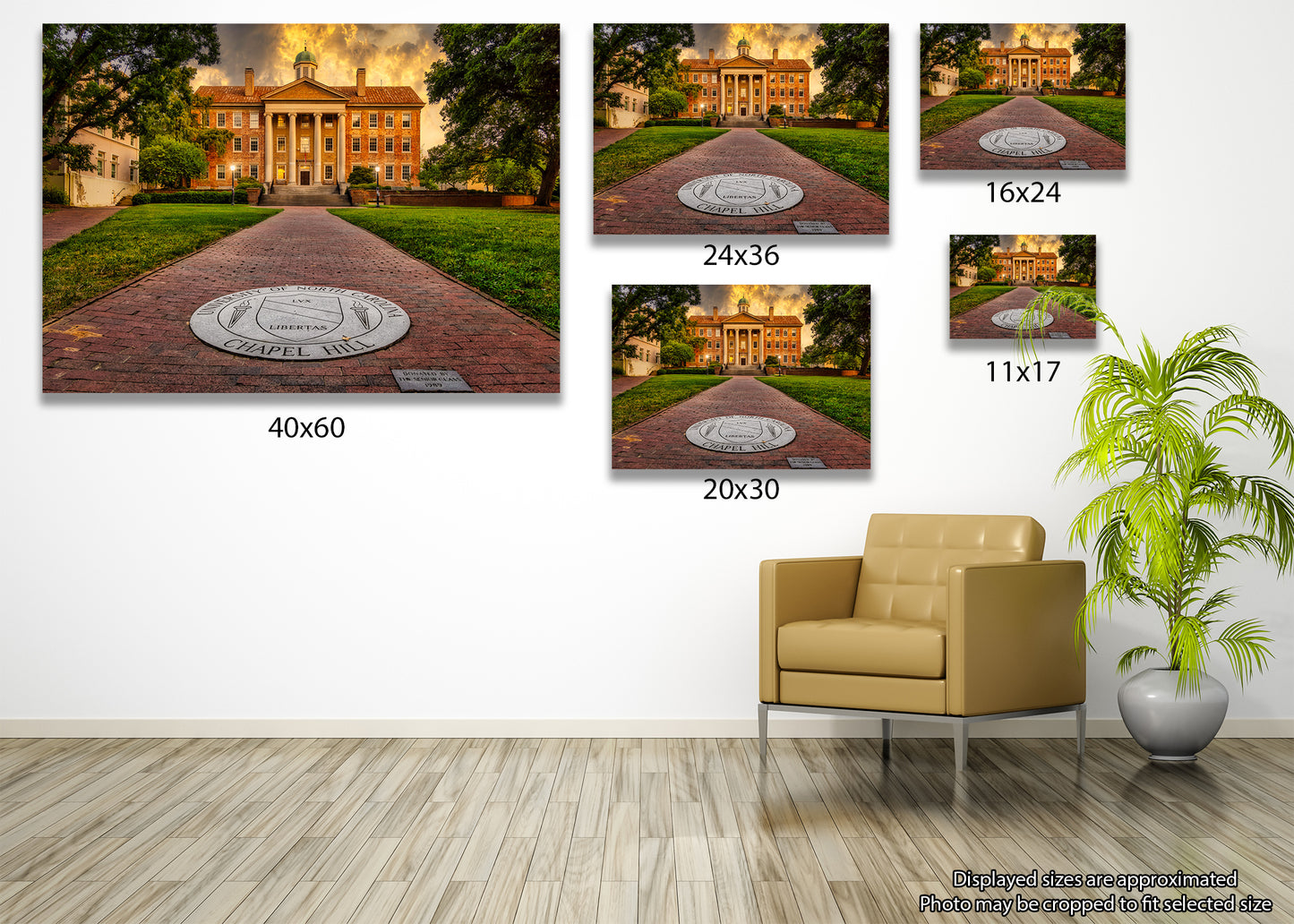 Looking North at the South Building