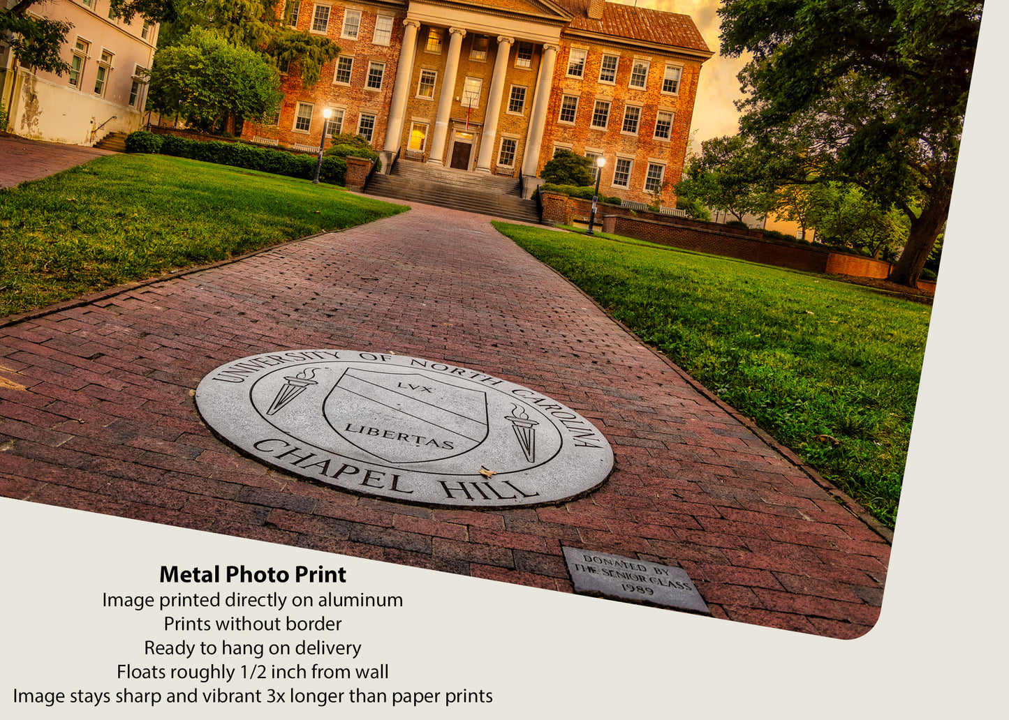 Looking North at the South Building