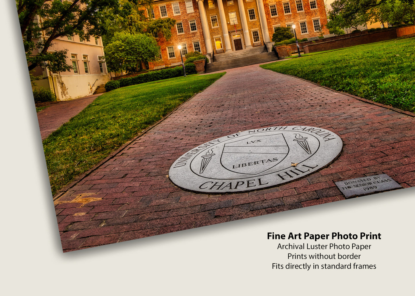 Looking North at the South Building