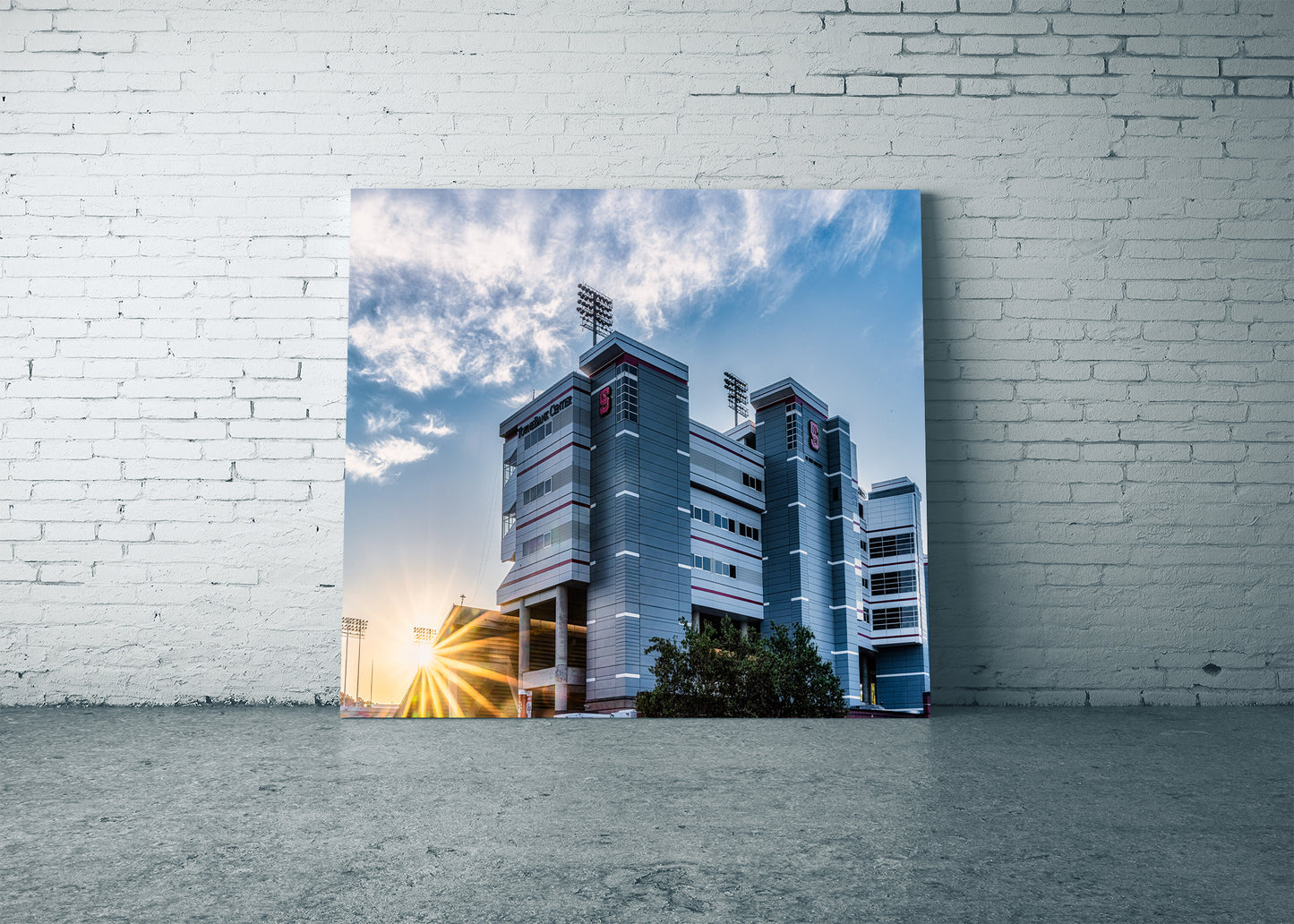 Sunrise at the Wolfpack’s Den