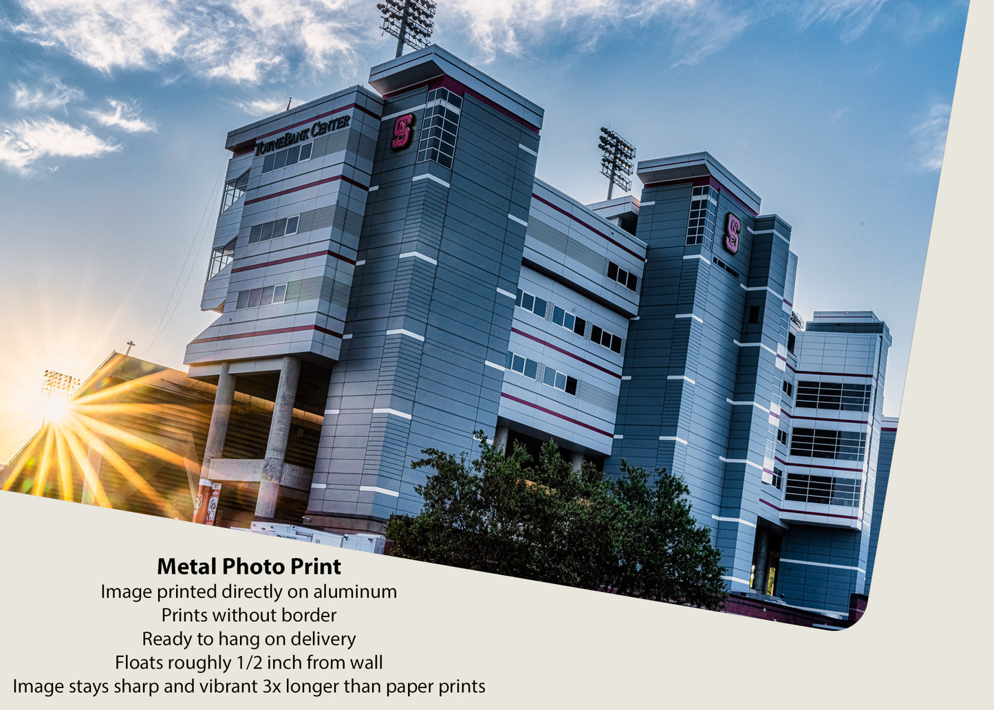 Sunrise at the Wolfpack’s Den