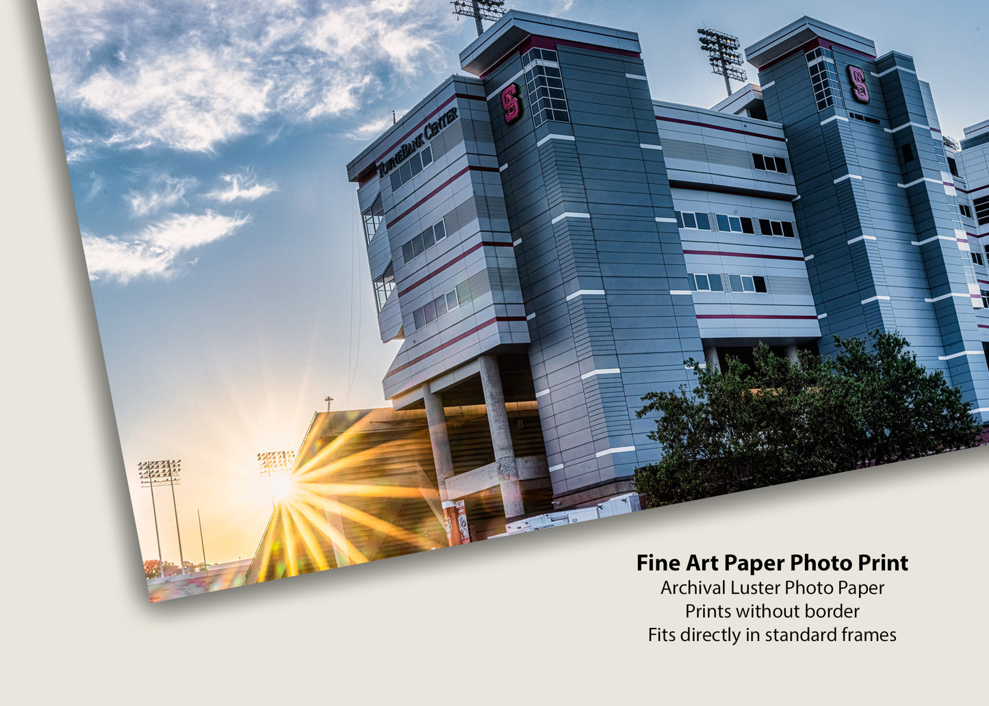 Sunrise at the Wolfpack’s Den