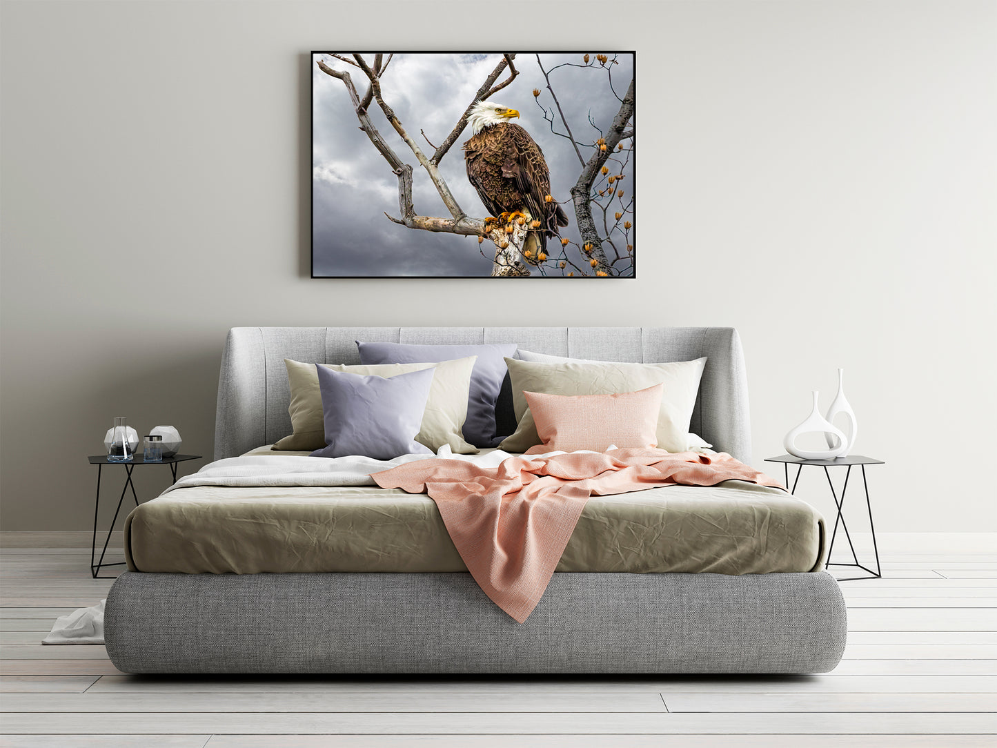 Águila calva posada