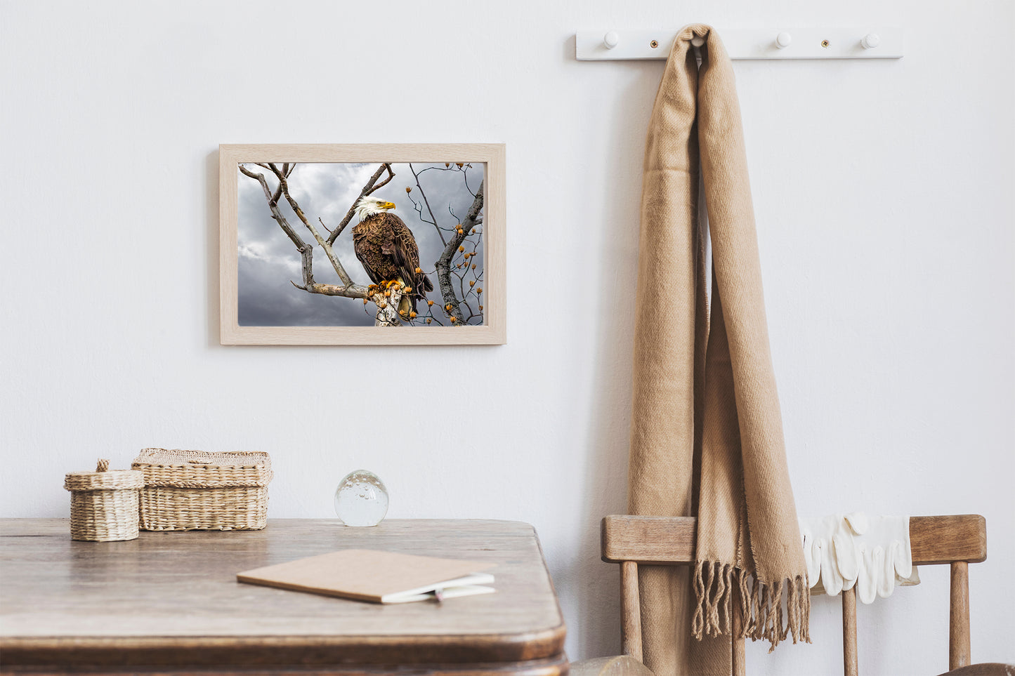 Águila calva posada