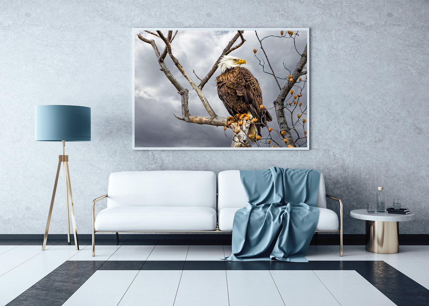Águila calva posada
