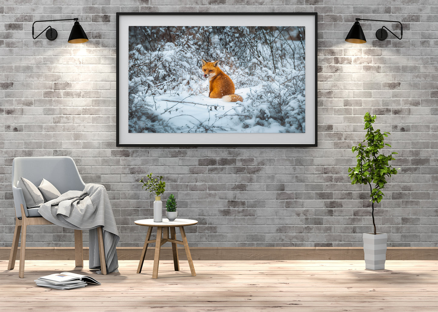 Fox in the Snow
