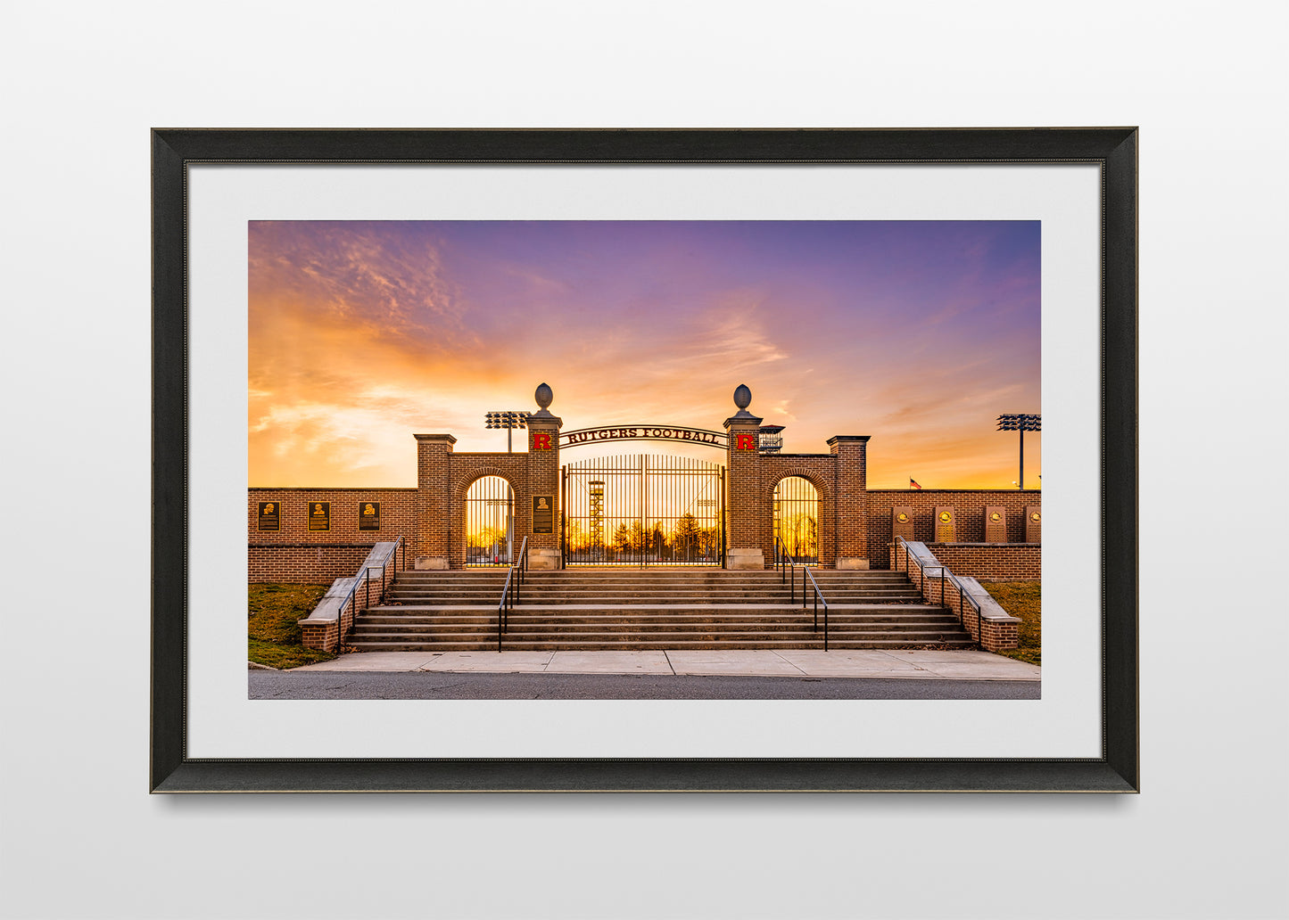 Dawn of the Scarlet Knights