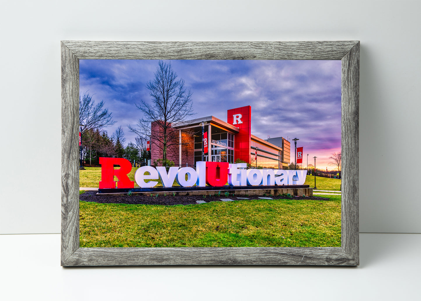 A RevolUtion in Education