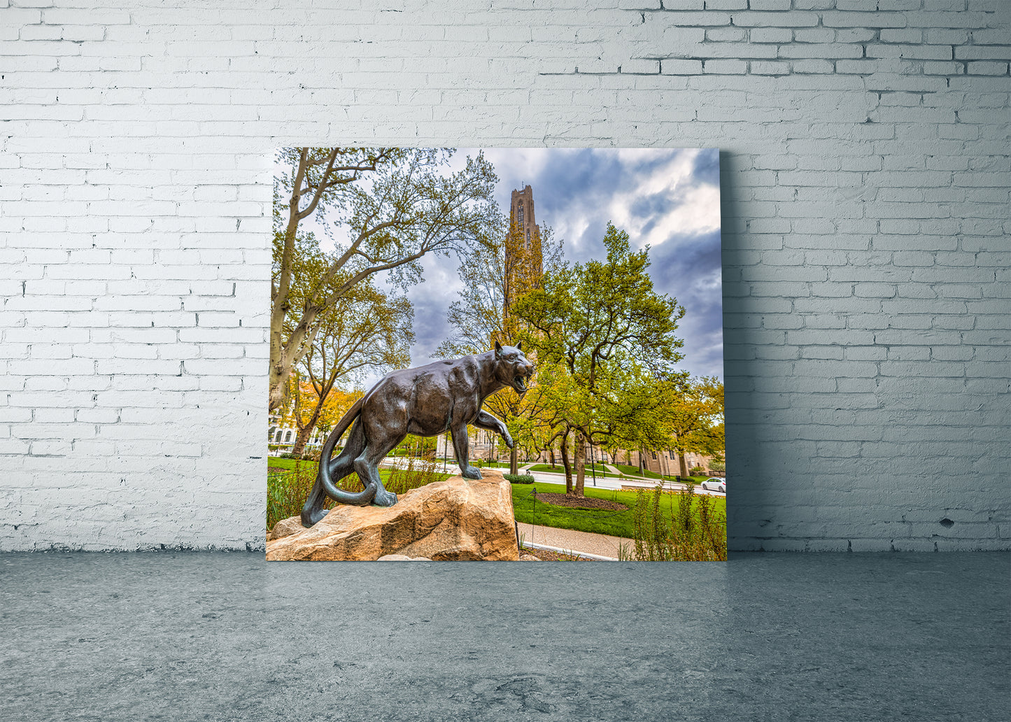 Panther Pride II