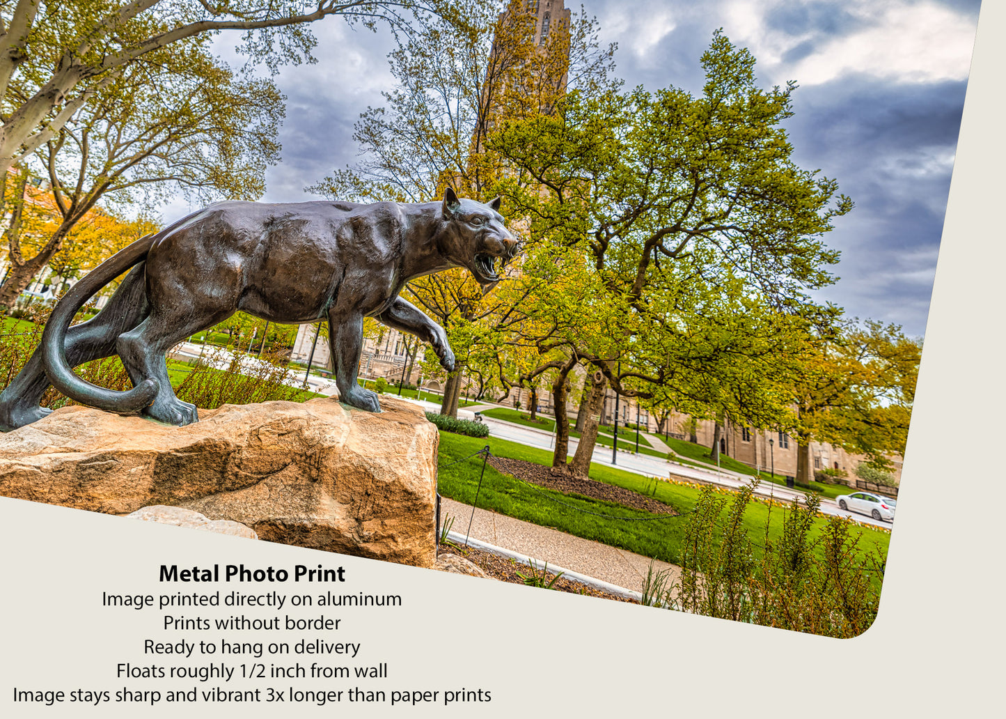 Panther Pride II