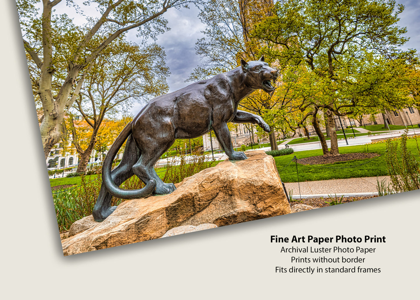 Panther Pride II