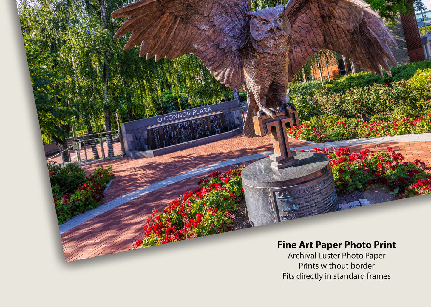Who’s at O’Conner Plaza?