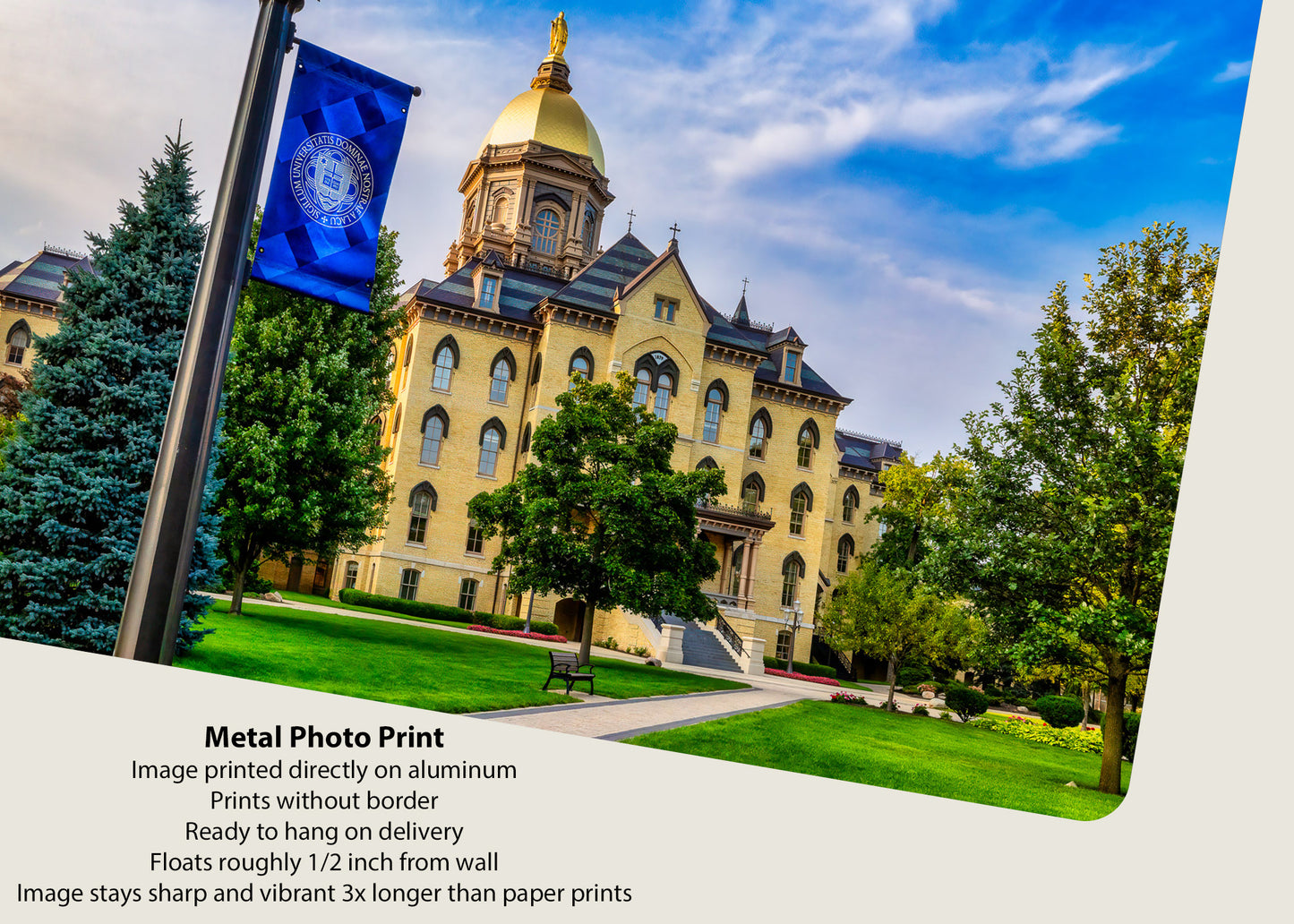 Welcome to Notre Dame
