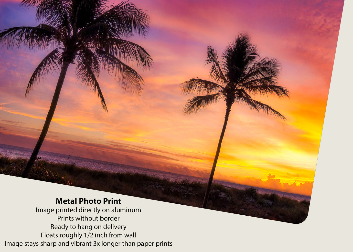 Pair of Palms at Sunrise