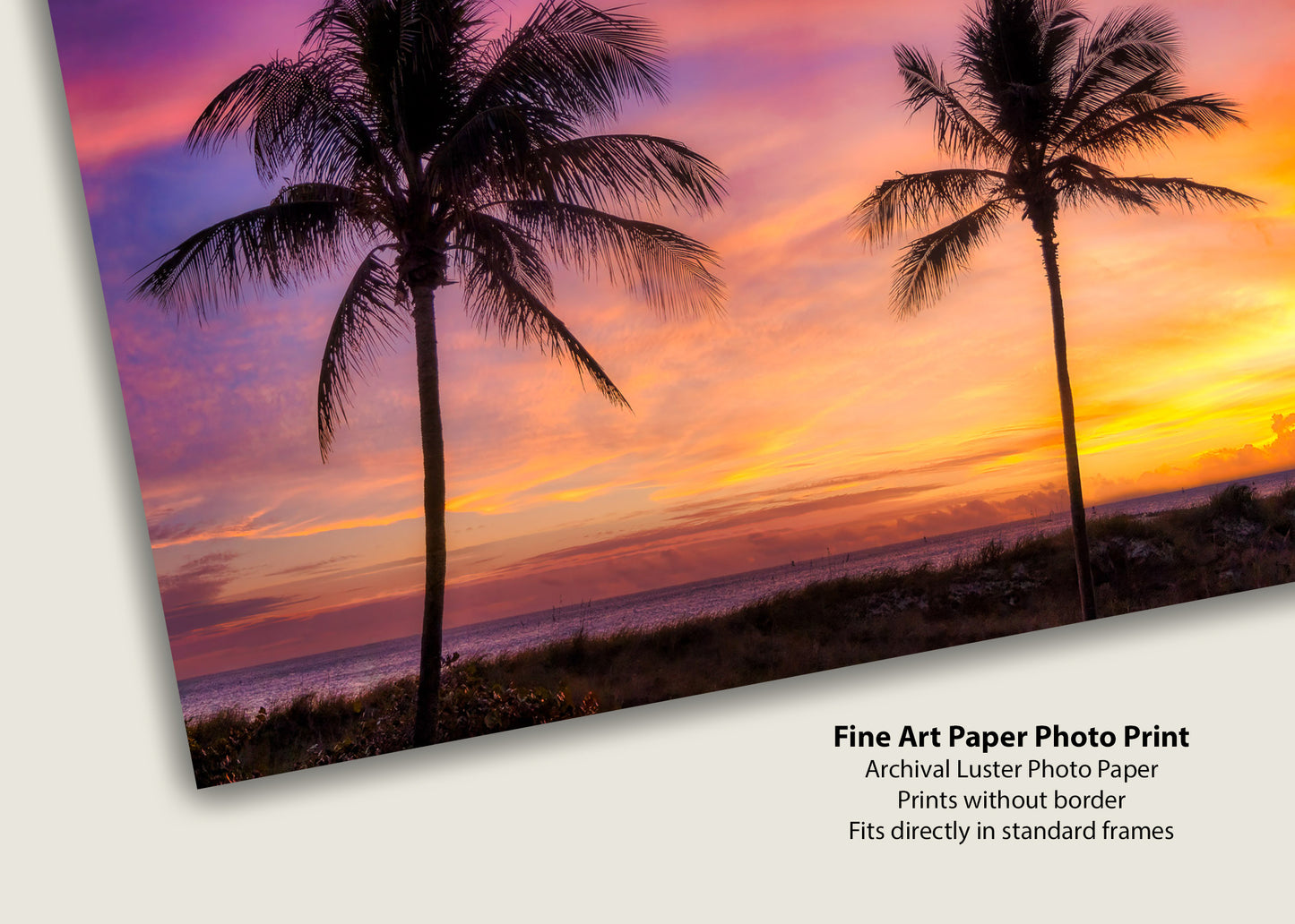 Pair of Palms at Sunrise