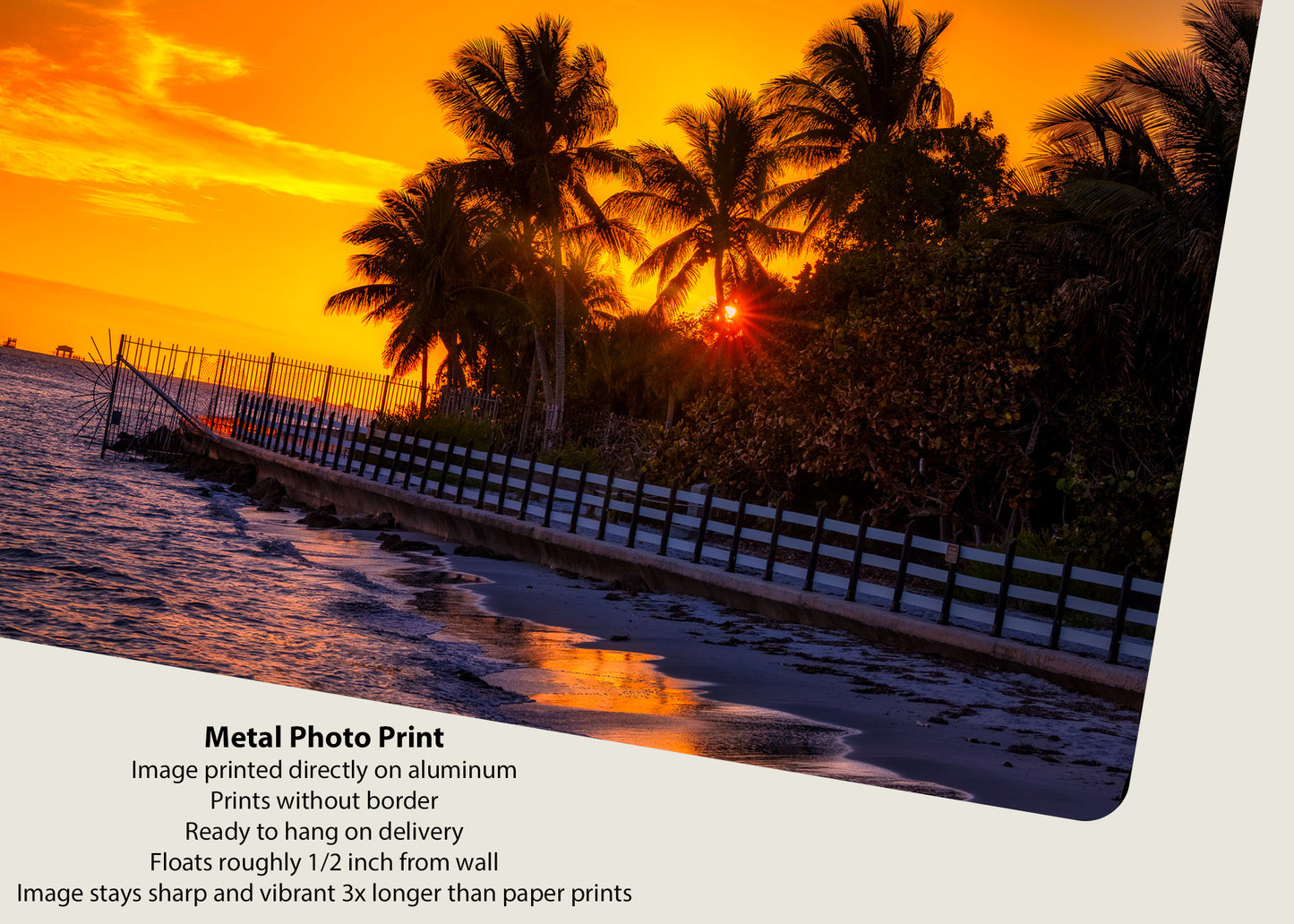 Sunset Silhouettes & Stilted Shores