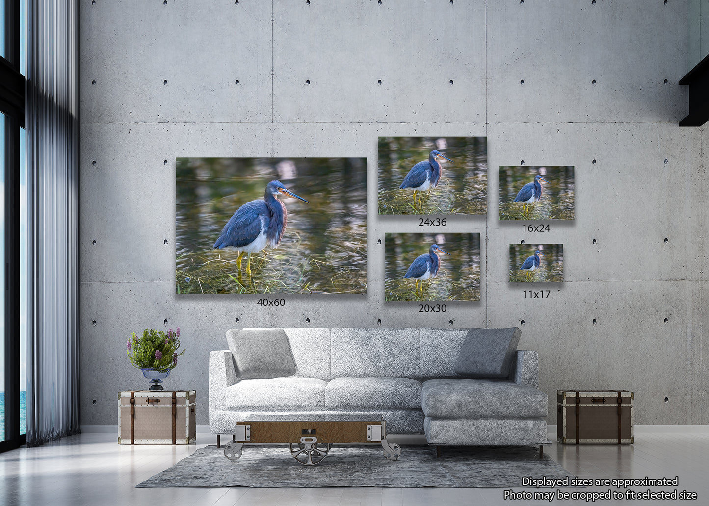 Polycolor Image of a Tricolor Heron
