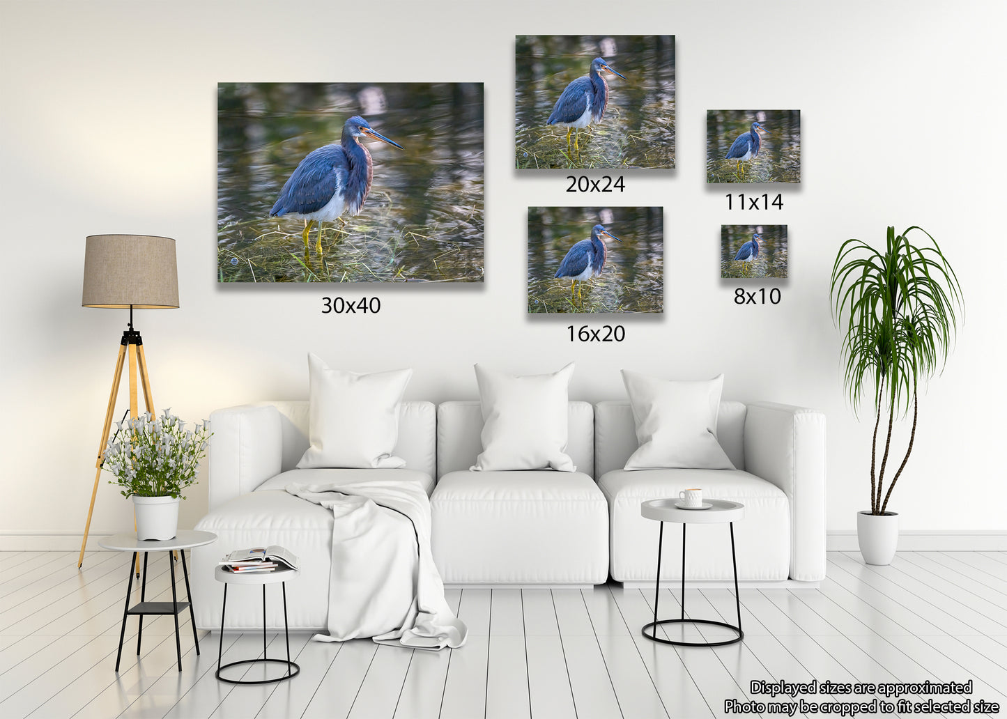 Polycolor Image of a Tricolor Heron