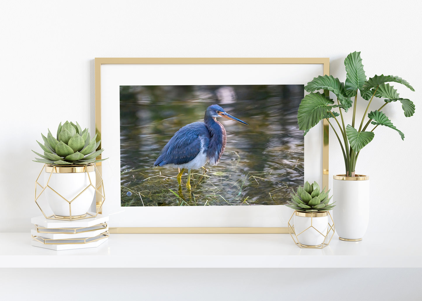 Polycolor Image of a Tricolor Heron