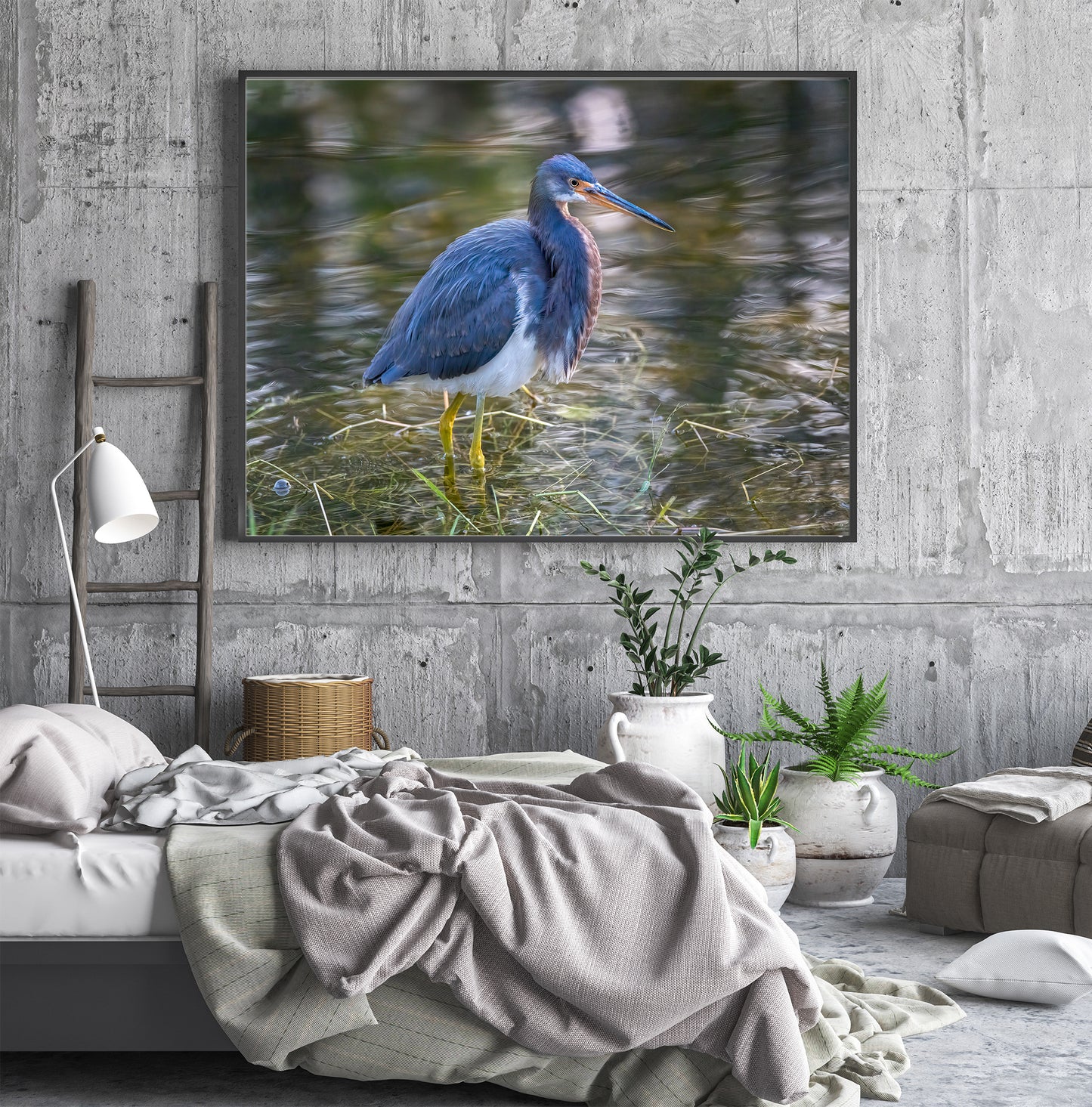 Polycolor Image of a Tricolor Heron