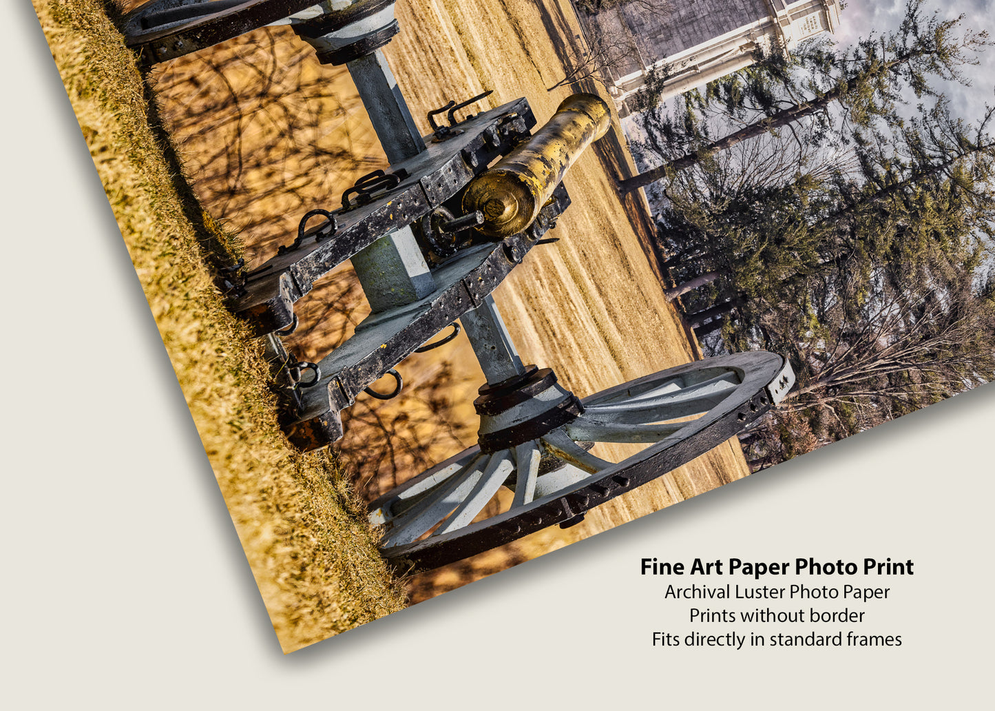 Un disparo a través de la historia