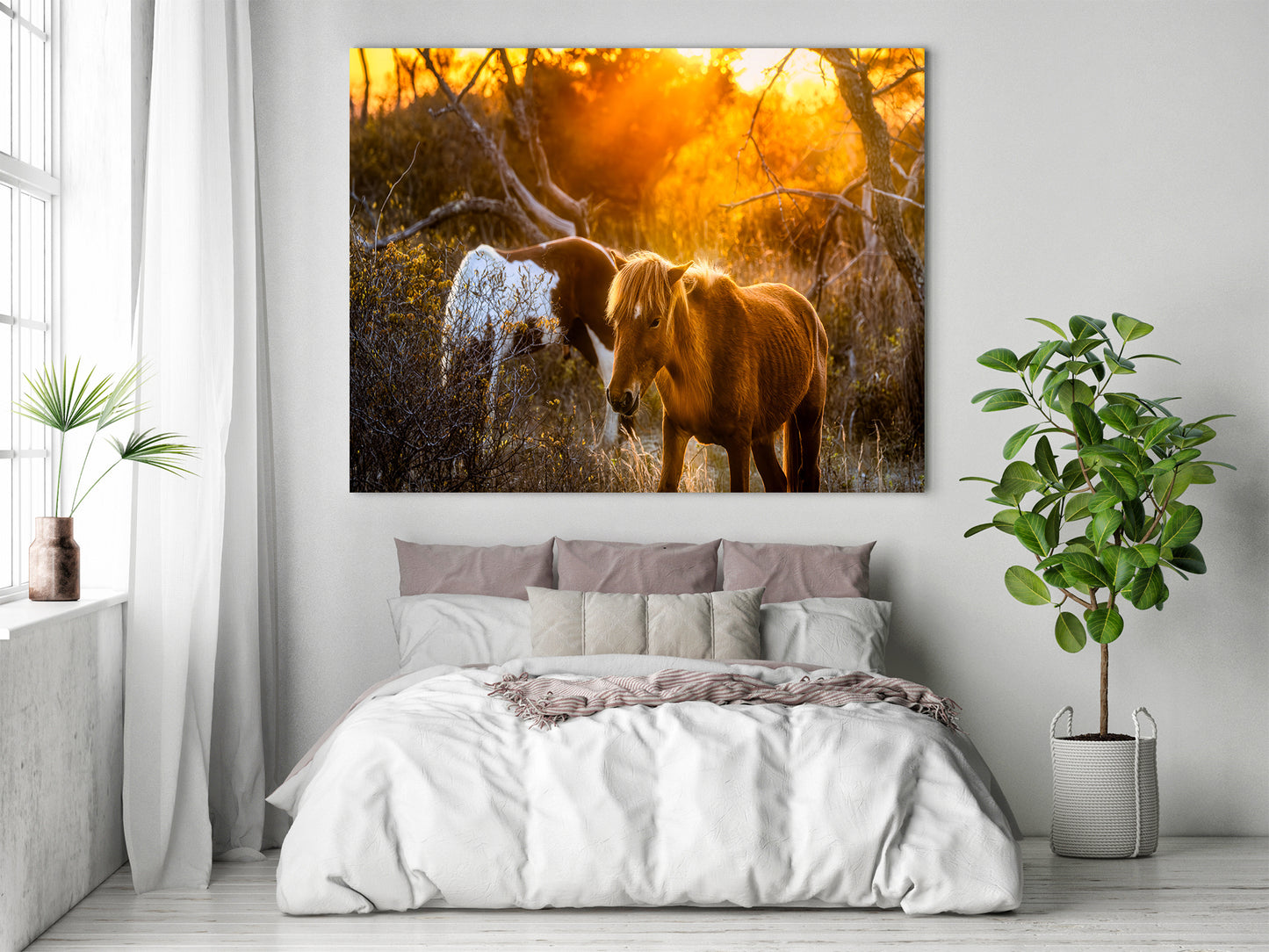 Caballos salvajes de la isla de Assateague