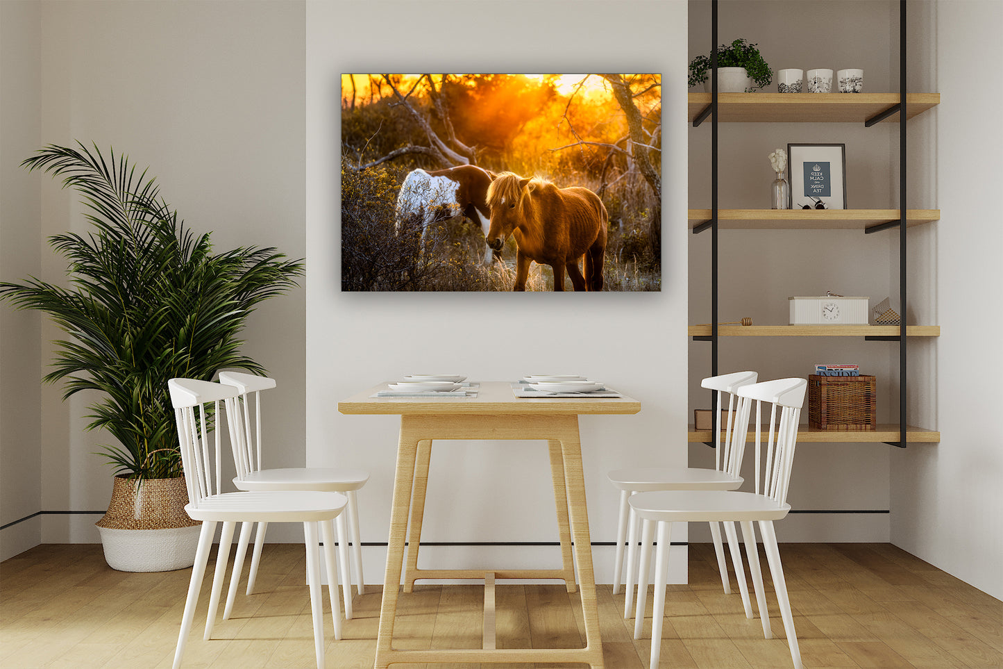 Wild Horses of Assateague Island