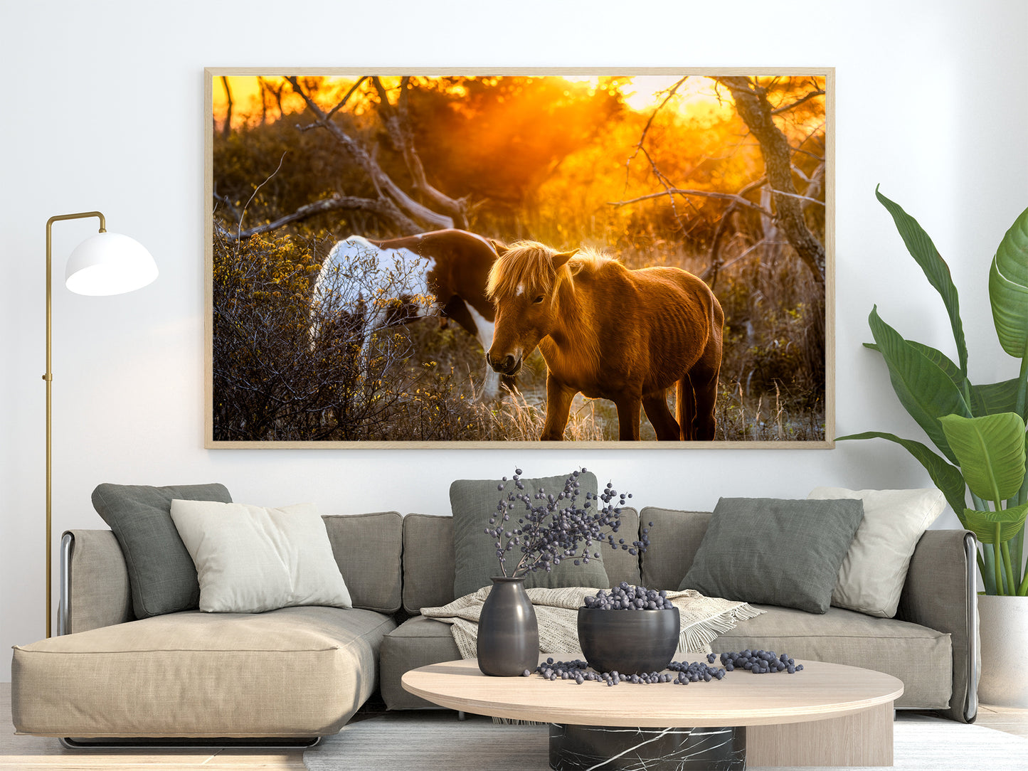 Caballos salvajes de la isla de Assateague