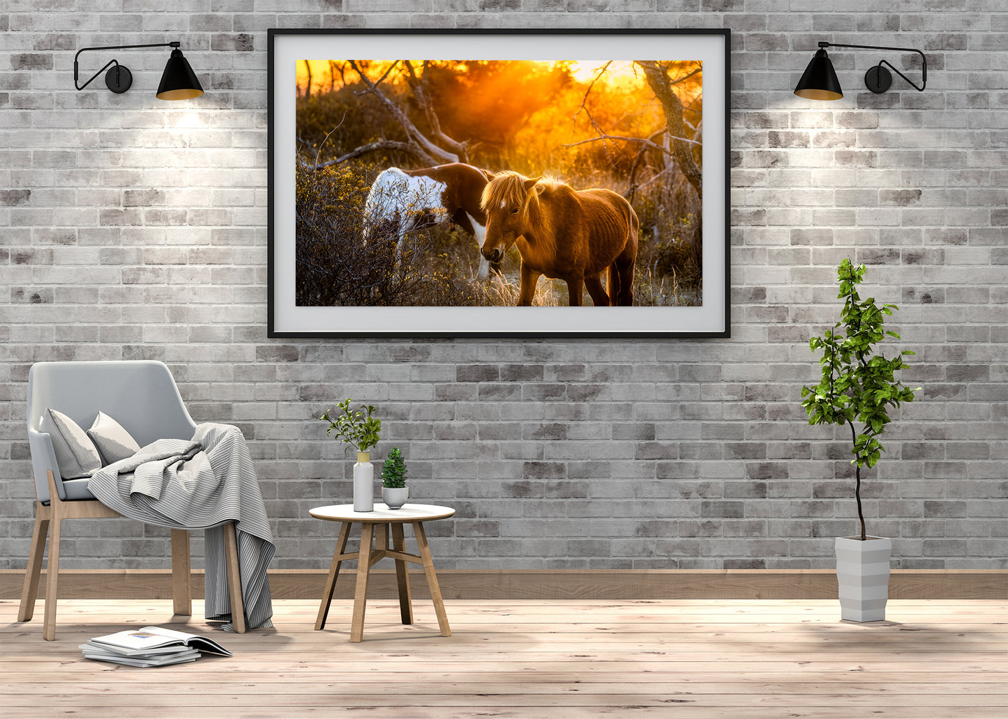 Caballos salvajes de la isla de Assateague