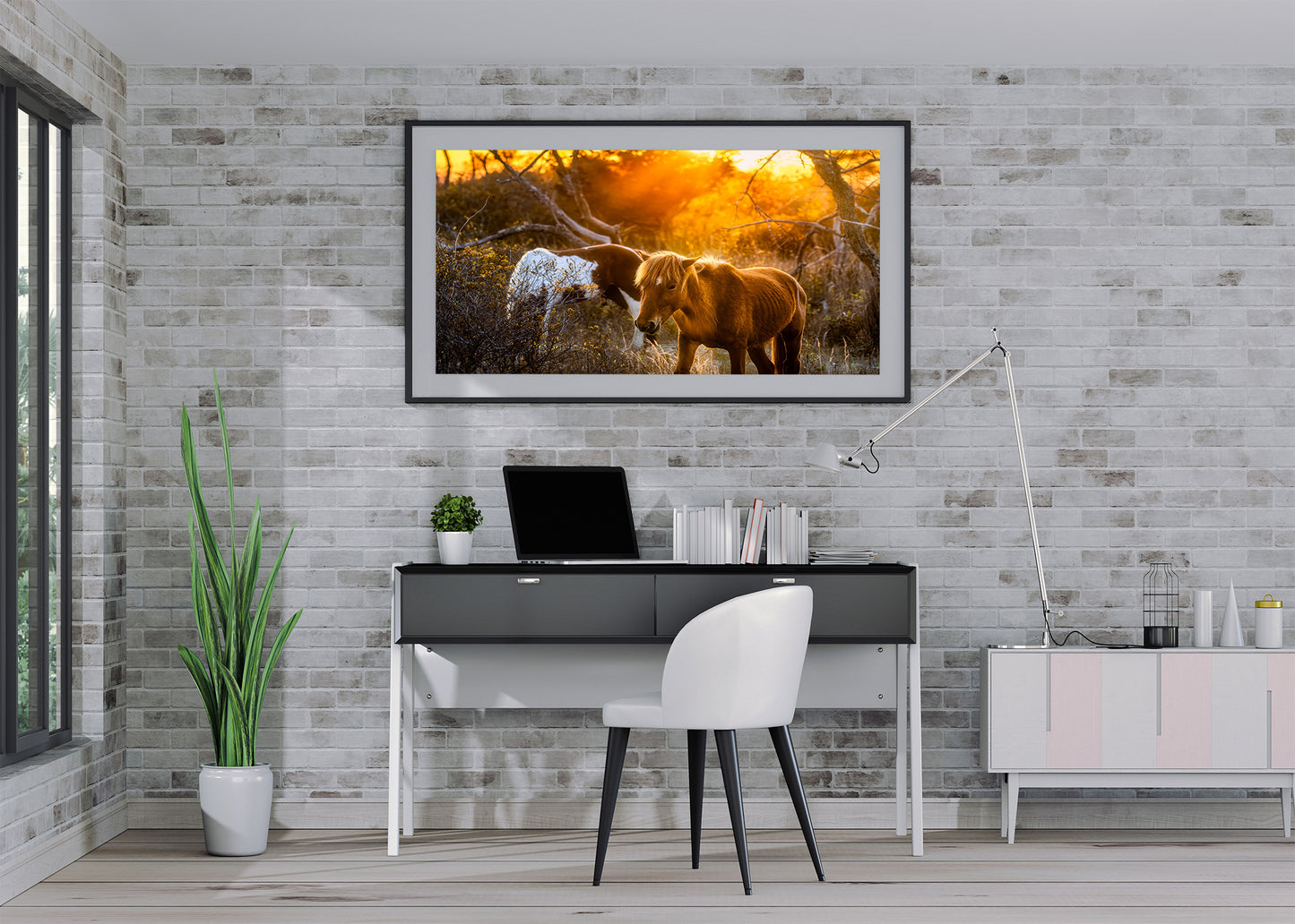 Caballos salvajes de la isla de Assateague