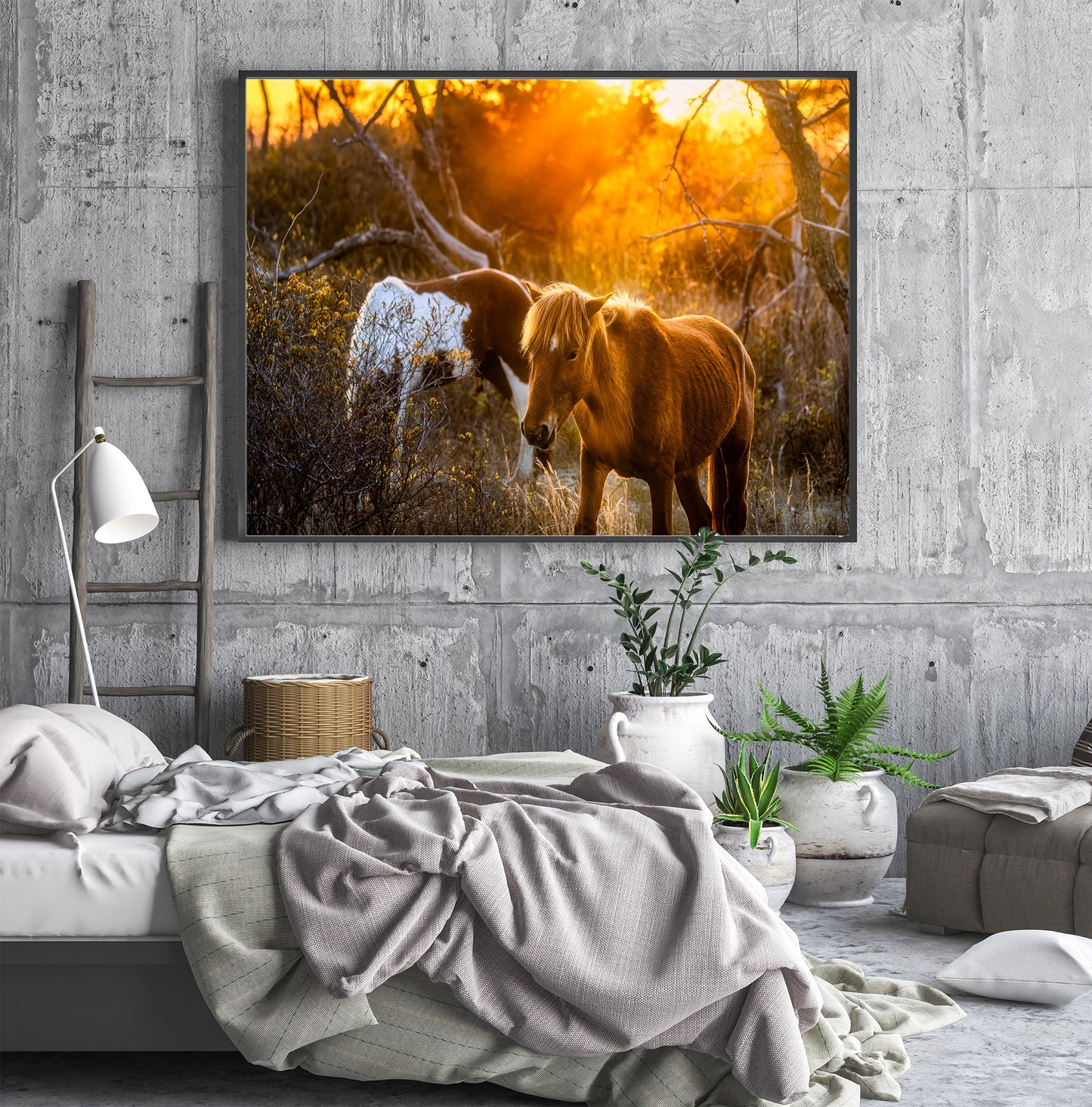 Caballos salvajes de la isla de Assateague