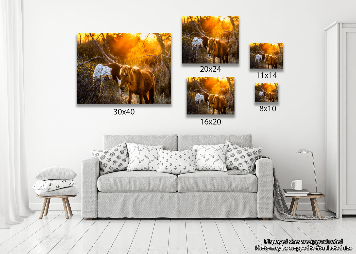 Caballos salvajes de la isla de Assateague