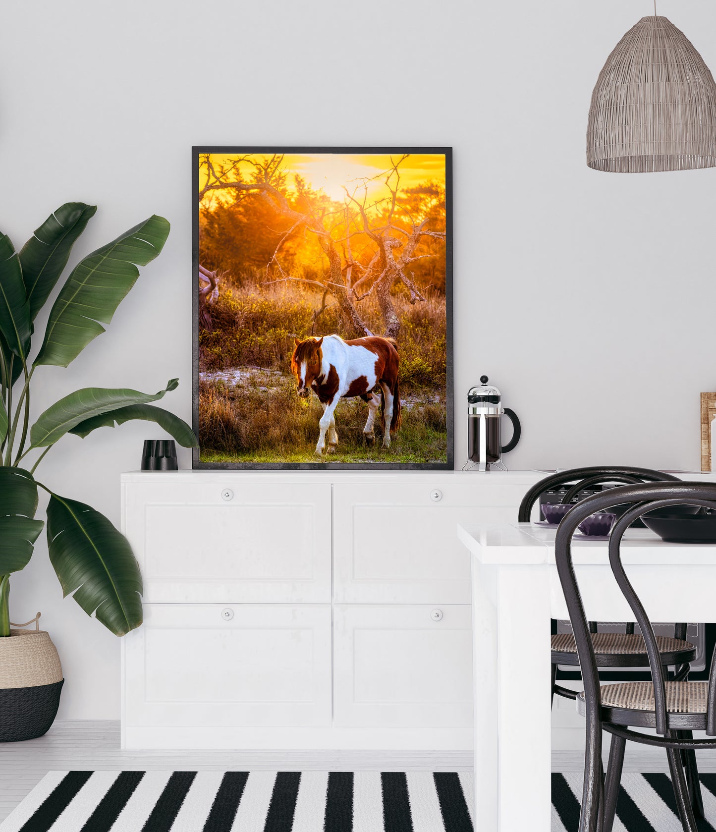 Salt, Sand, Sun and Hooves