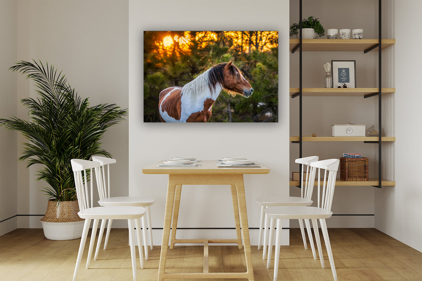 Salvaje al atardecer