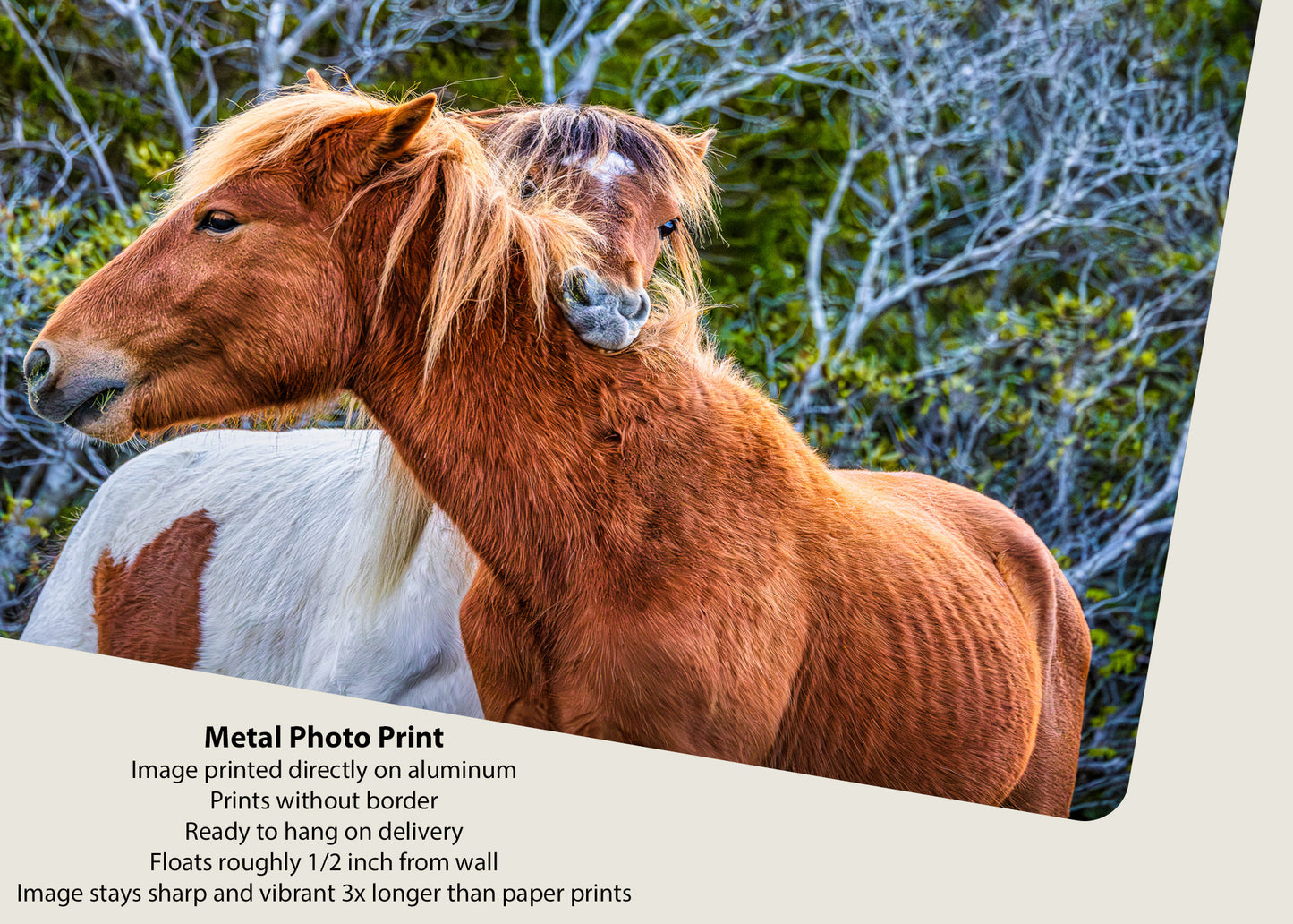 Masticar y las circunstancias