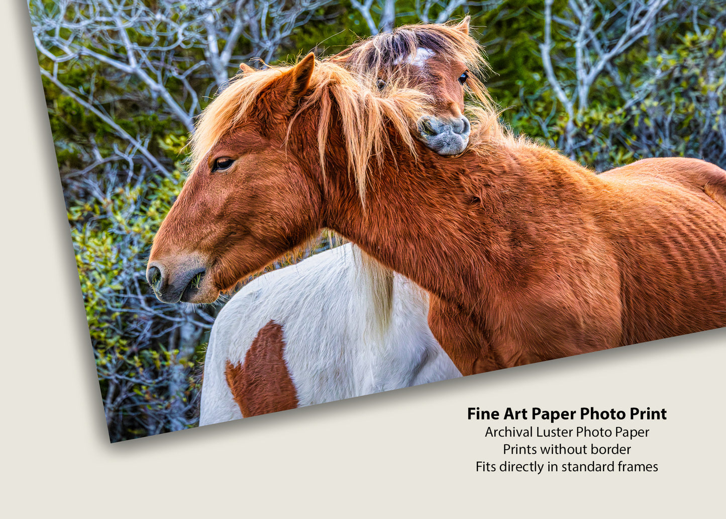 Masticar y las circunstancias