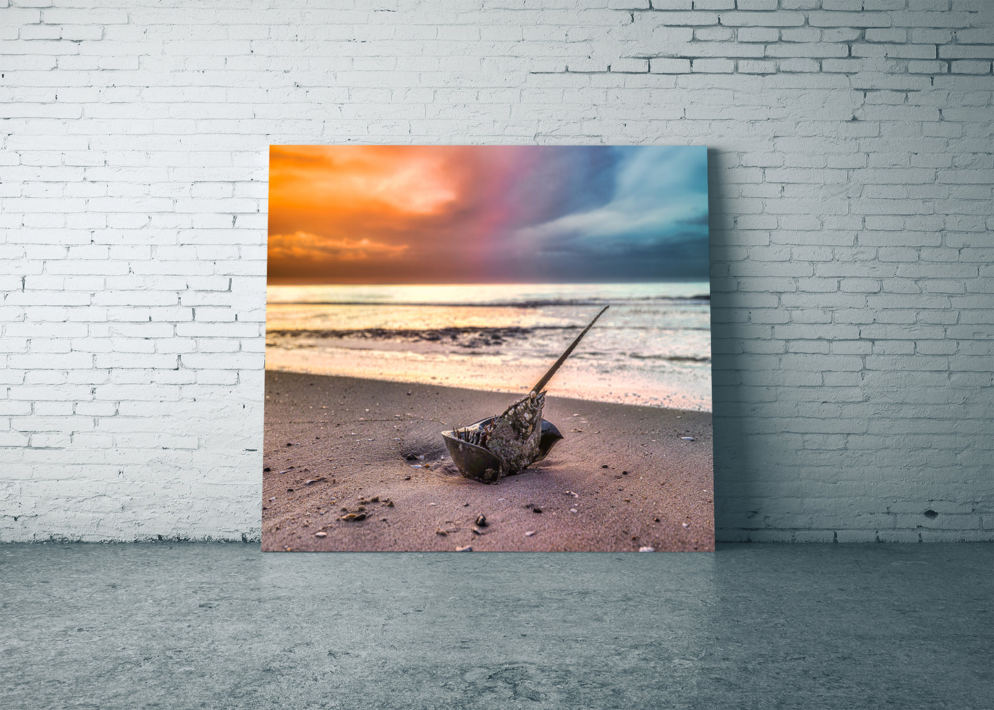 Flip Side of the Dawn