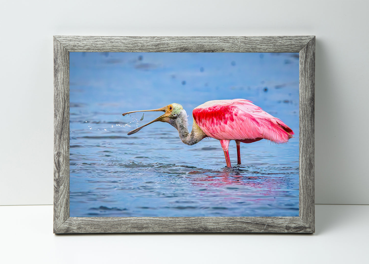 Atrapando la cena con una espátula rosada