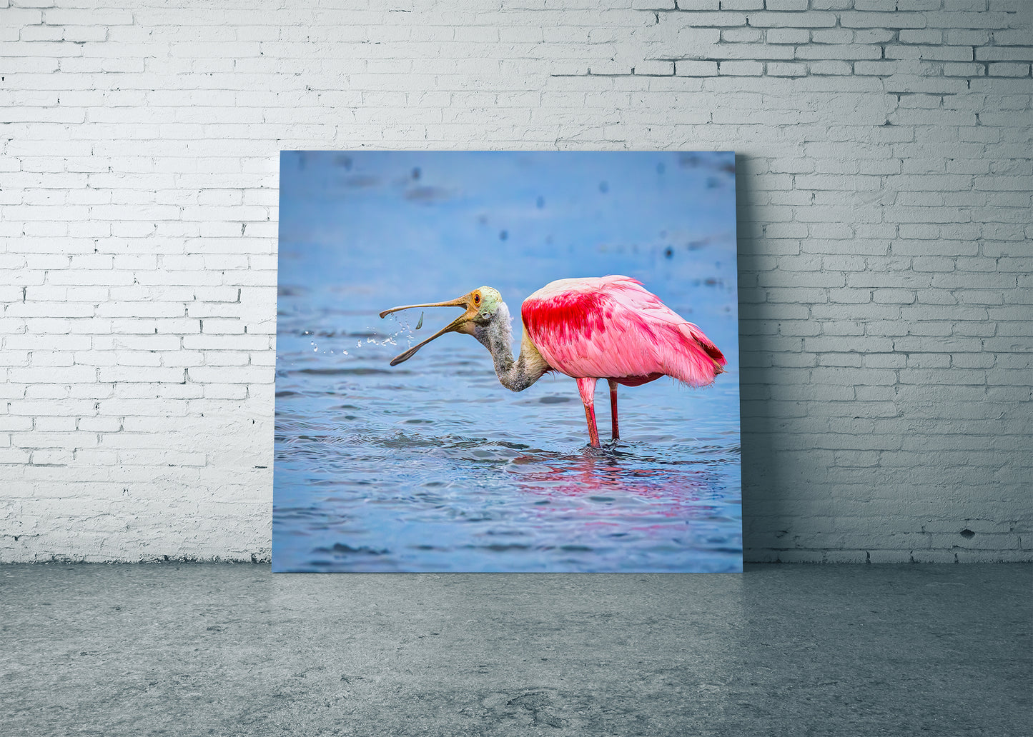 Atrapando la cena con una espátula rosada