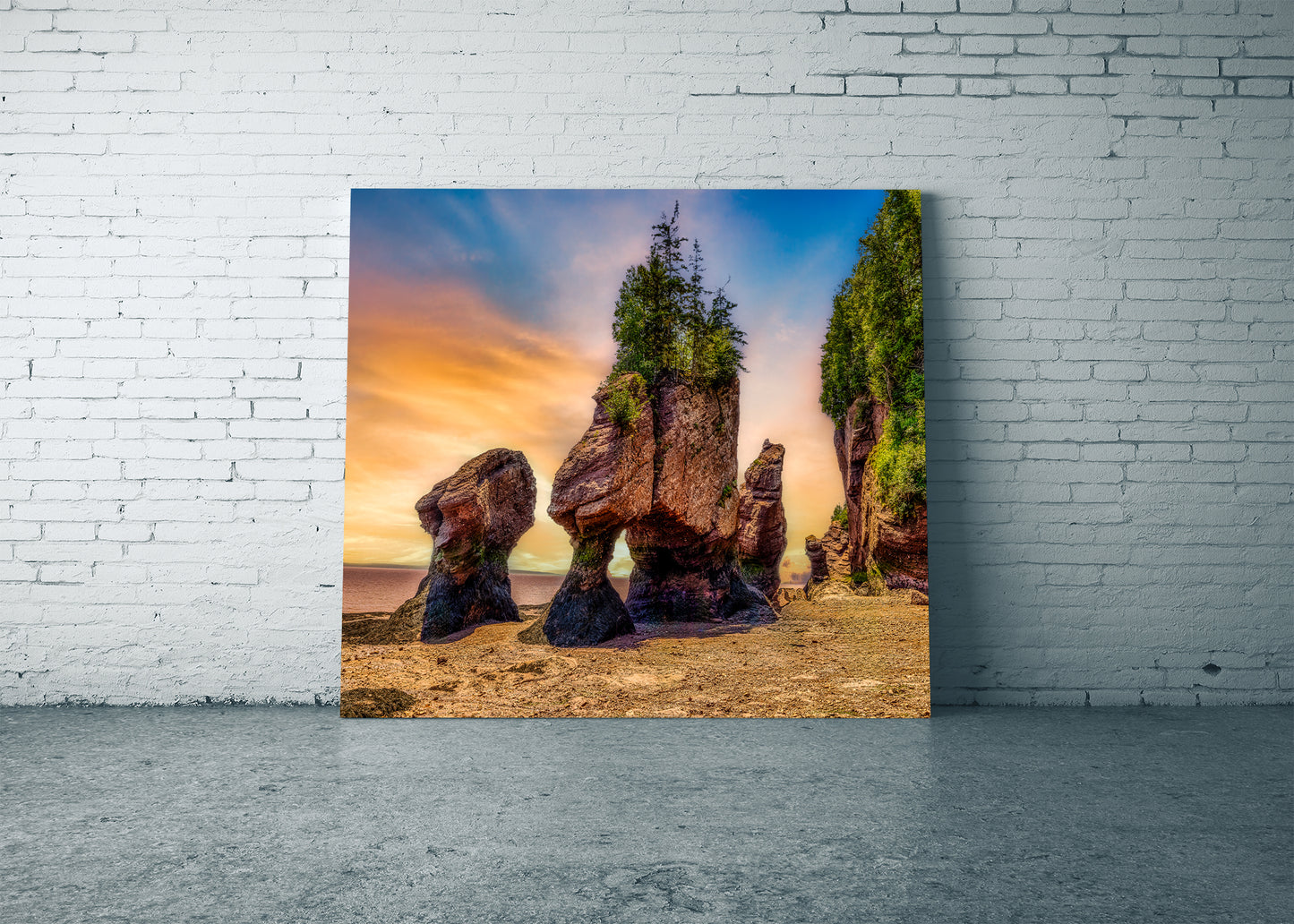 Marea baja en Hopewell Rocks