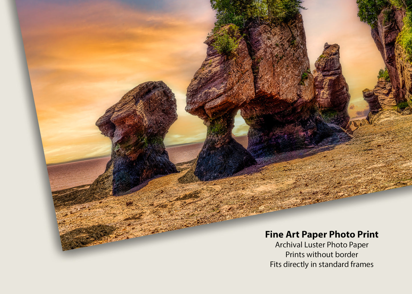 Marea baja en Hopewell Rocks