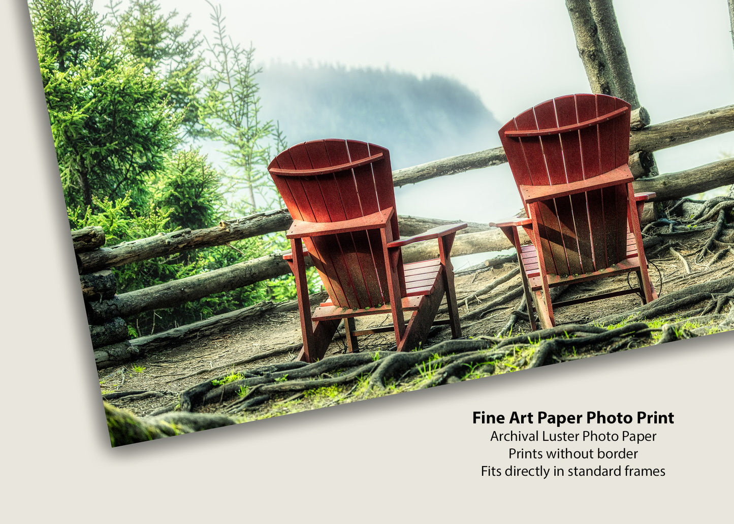 The Best Seats in Nova Scotia