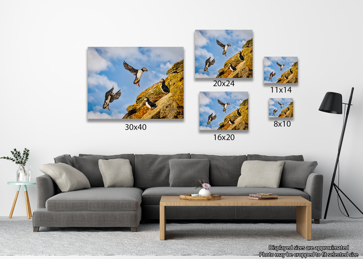 Final Approach at Puffin Ridge