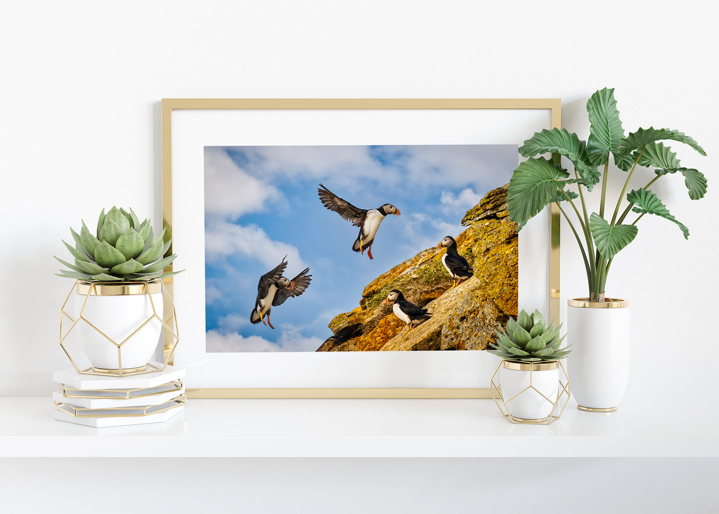 Final Approach at Puffin Ridge