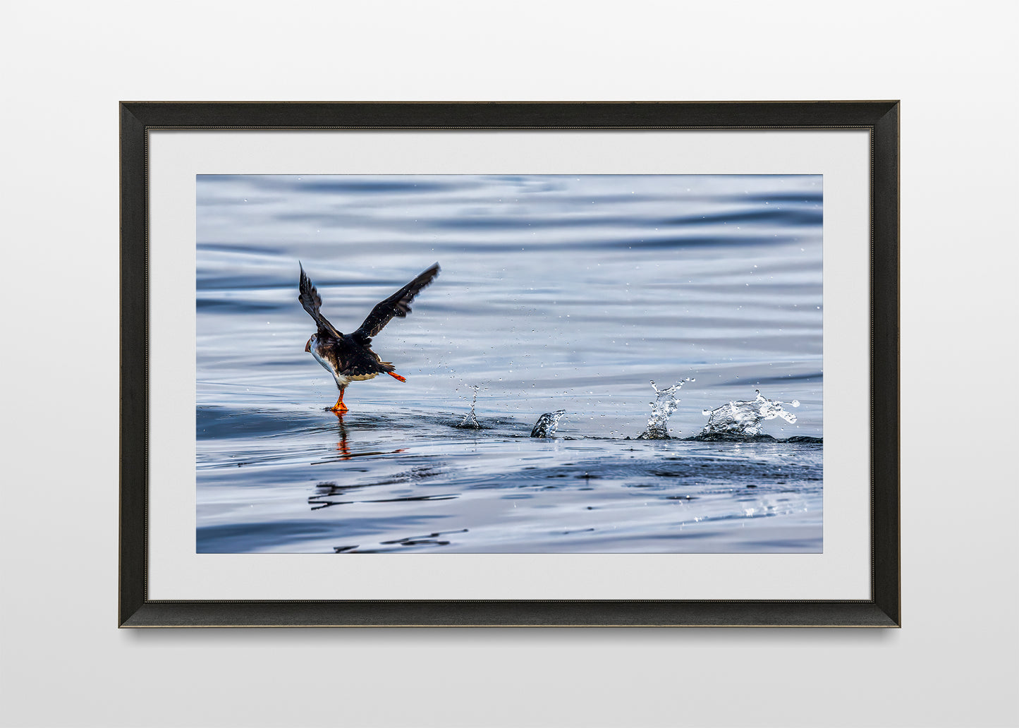 Puffin with Every Step