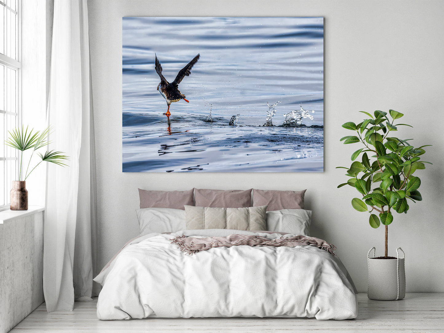 Puffin with Every Step