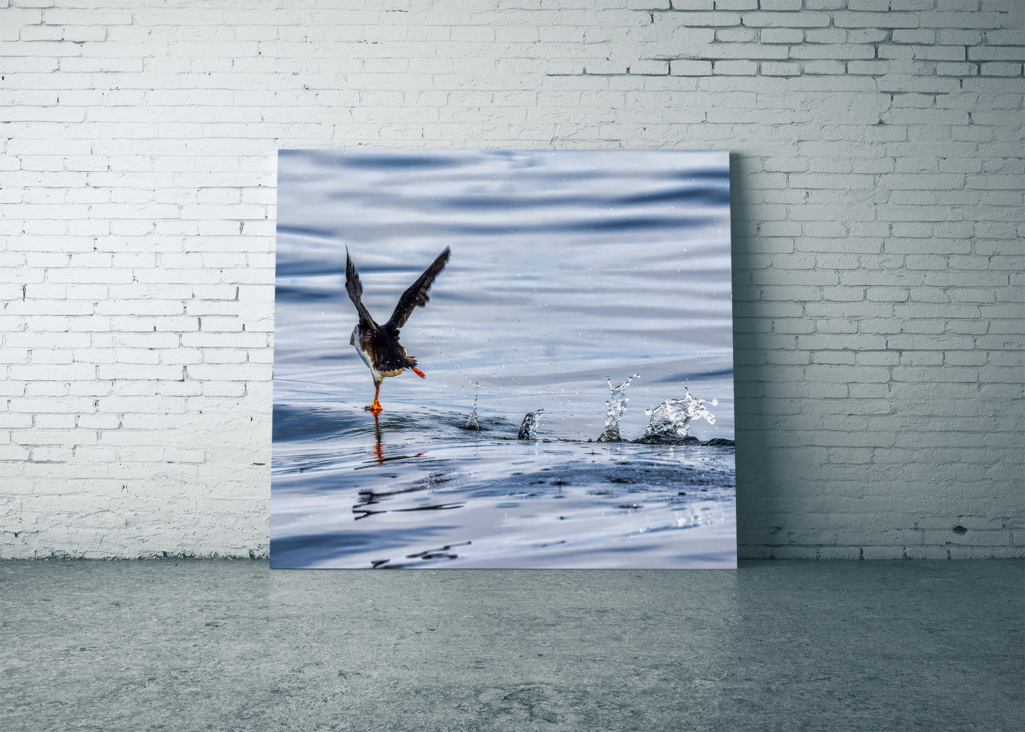 Puffin with Every Step