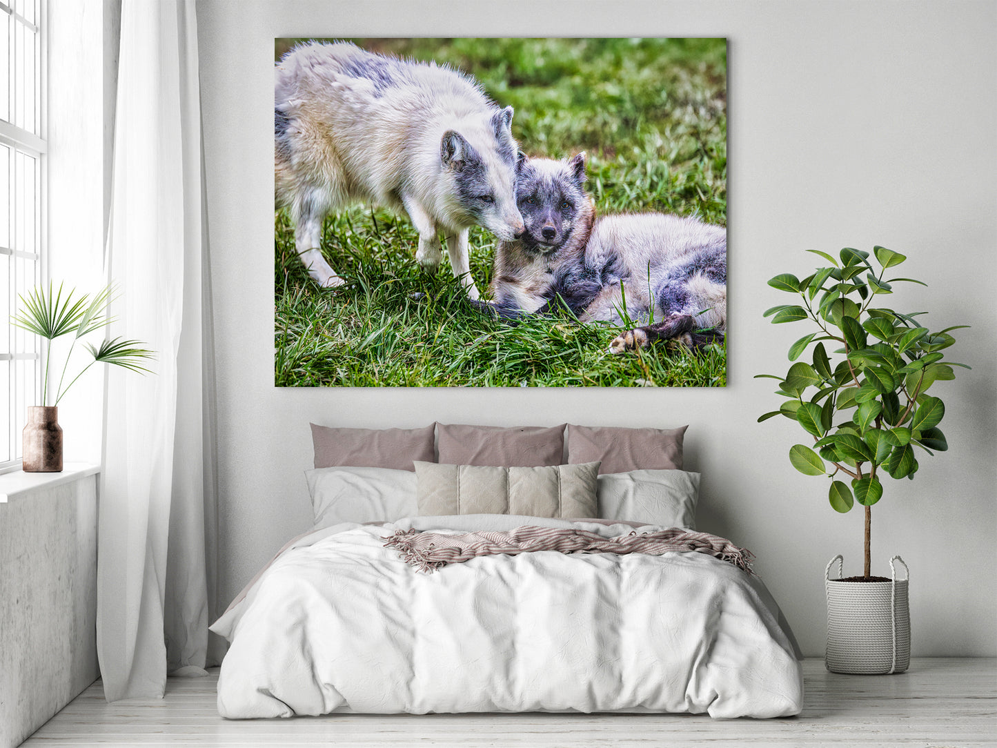 Amor de cachorro en el Ártico