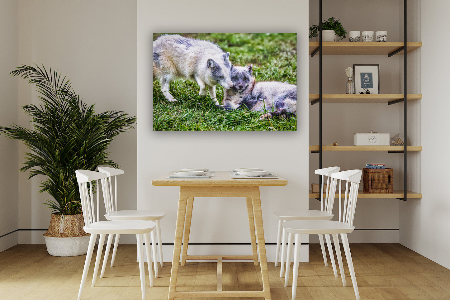 Amor de cachorro en el Ártico