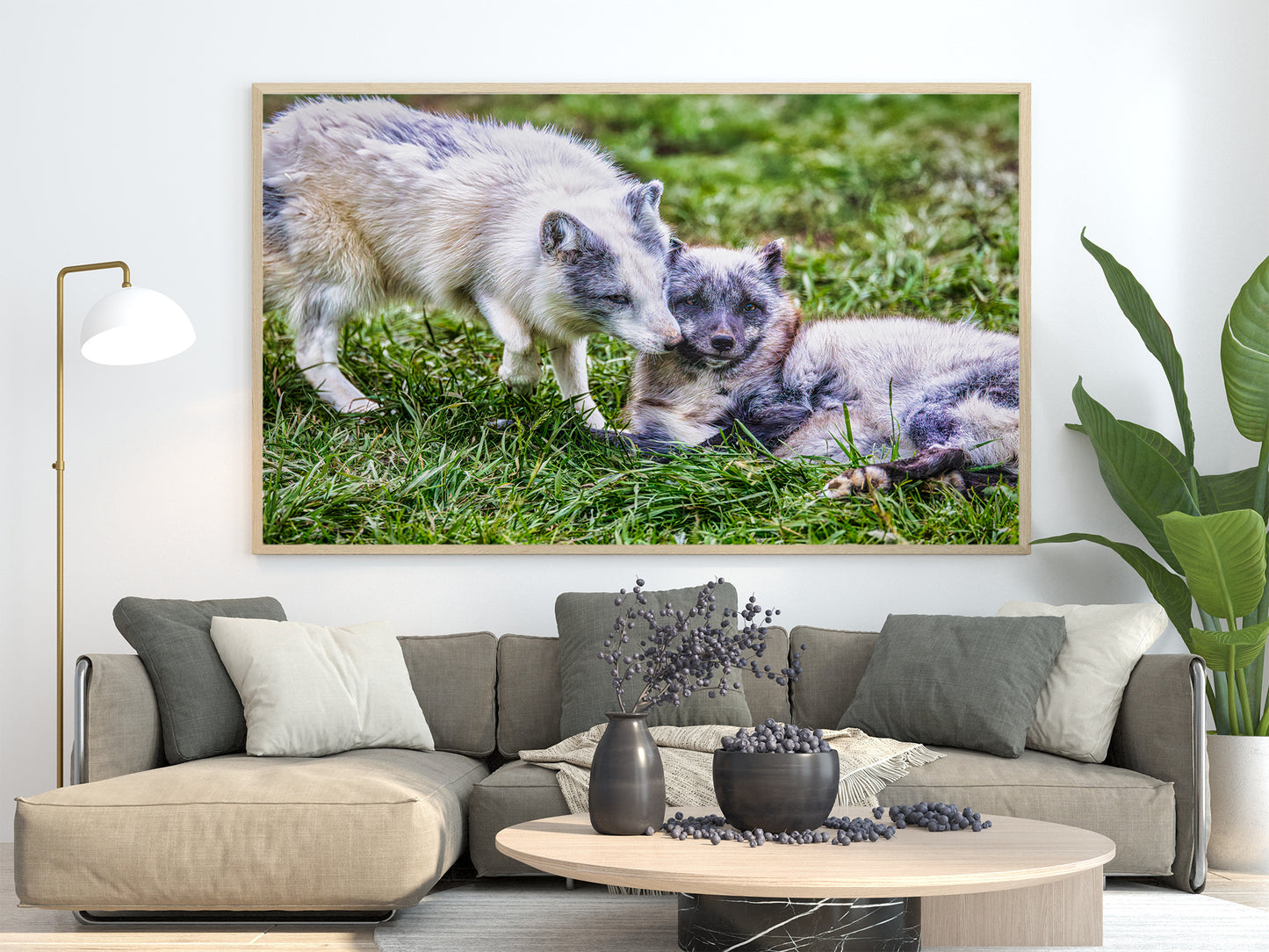 Amor de cachorro en el Ártico